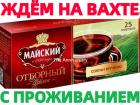 Упаковщики Вахта во Фрязино на производство чая без опыта с бесплатным ...